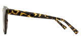 Carve Fletcher Sunglasses | Gloss Tort with Brown Lens 36071