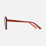 CARVE SUNGLASSES |Londyn Sunglasses -Milky Tort/brown - 36500