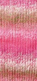 YARN Panda Crypto