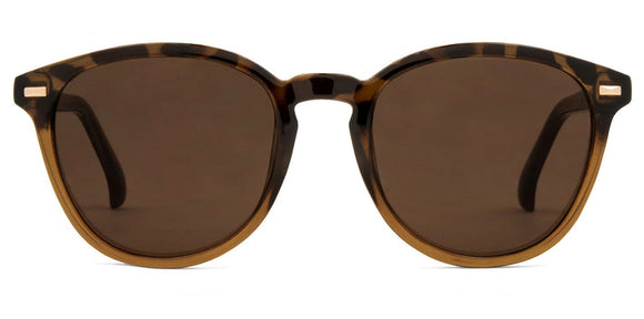 Carve Oslo Sunglasses | Gloss Tort with Toffee Brown Lens