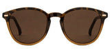 Carve Oslo Sunglasses | Gloss Tort with Toffee Brown Lens