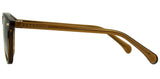 Carve Oslo Sunglasses | Gloss Tort with Toffee Brown Lens