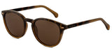 Carve Oslo Sunglasses | Gloss Tort with Toffee Brown Lens