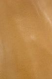 Bristol | Light Tan