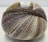 YARN Patons Sierra