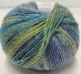 YARN Patons Sierra